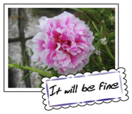 Greetings card with flowers photo2 sticker #14862284