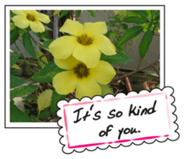 Greetings card with flowers photo2 sticker #14862285