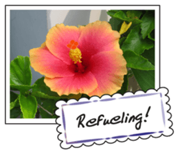 Greetings card with flowers photo2 sticker #14862290