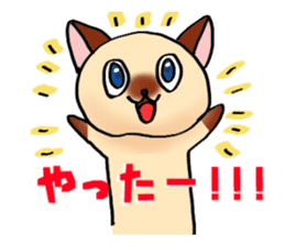 Talkative Siamese cat. sticker #14862758