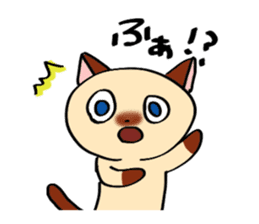 Talkative Siamese cat. sticker #14862760