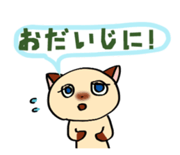 Talkative Siamese cat. sticker #14862771