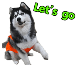 Siberian dog gang sticker #14862949