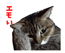 NANA sticker ( Japanese Slang) sticker #14863010