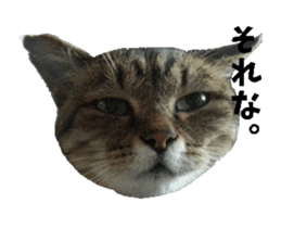 NANA sticker ( Japanese Slang) sticker #14863015