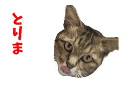 NANA sticker ( Japanese Slang) sticker #14863017