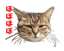 NANA sticker ( Japanese Slang) sticker #14863020