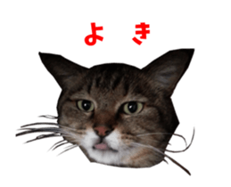 NANA sticker ( Japanese Slang) sticker #14863023