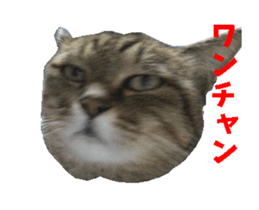 NANA sticker ( Japanese Slang) sticker #14863026