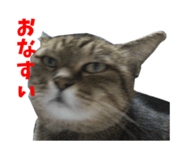 NANA sticker ( Japanese Slang) sticker #14863029