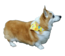 Good night dog sticker #14864891