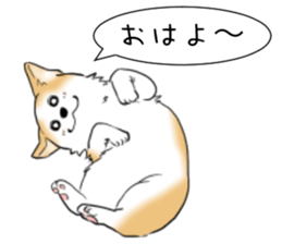 Good night dog sticker #14864897