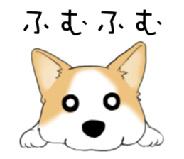 Good night dog sticker #14864898