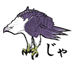 White-bellied sea eagle Sticker sticker #14865239