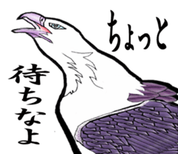 White-bellied sea eagle Sticker sticker #14865240