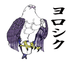 White-bellied sea eagle Sticker sticker #14865241