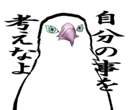 White-bellied sea eagle Sticker sticker #14865243