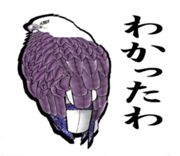 White-bellied sea eagle Sticker sticker #14865244