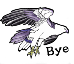 White-bellied sea eagle Sticker sticker #14865245