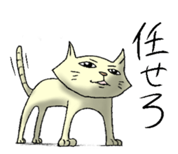 Daily life of cats. sticker #14865479