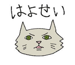 Daily life of cats. sticker #14865486