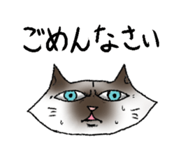 Daily life of cats. sticker #14865497