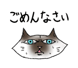 Daily life of cats. sticker #14865497