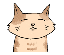Daily life of cats. sticker #14865502