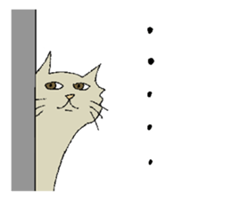 Daily life of cats. sticker #14865506