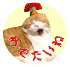 Laziest Scottish fold sticker #14868909