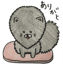 KuroPomesan4 sticker #14871354