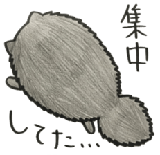 KuroPomesan4 sticker #14871374