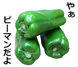 Green pepper! sticker #14872870