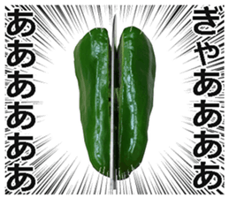 Green pepper! sticker #14872872