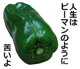 Green pepper! sticker #14872875