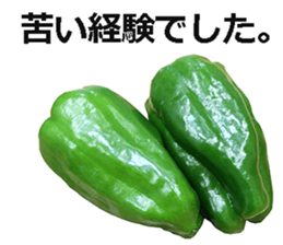 Green pepper! sticker #14872877