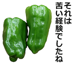 Green pepper! sticker #14872878
