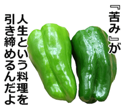 Green pepper! sticker #14872879