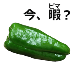 Green pepper! sticker #14872882
