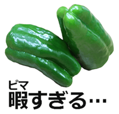 Green pepper! sticker #14872883