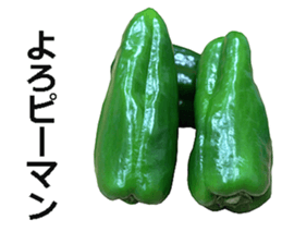 Green pepper! sticker #14872886
