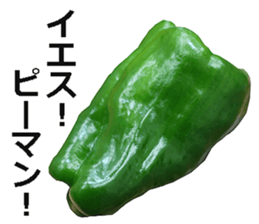 Green pepper! sticker #14872888