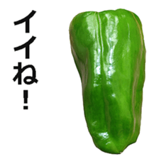 Green pepper! sticker #14872890
