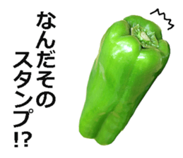 Green pepper! sticker #14872893