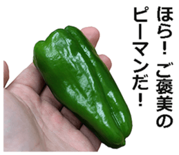 Green pepper! sticker #14872901
