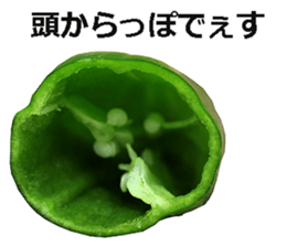 Green pepper! sticker #14872902