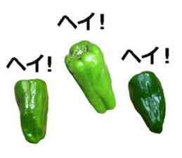 Green pepper! sticker #14872908
