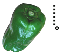 Green pepper! sticker #14872909
