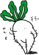 Energetic radish sticker #14875181