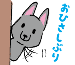 simple Schipperke sticker #14875238